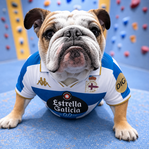 Avatar de Usuario